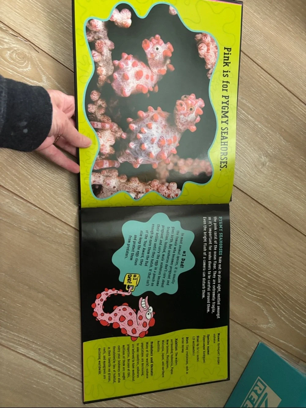 Pink Is For Blobfish - Discovering the World’s Perfectly Pink Animals NEW!
